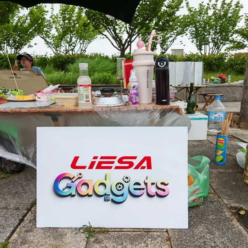LIESA Gadgets holder utendørscampingteambygging for å forene teamet for globale rengjøringsapparater